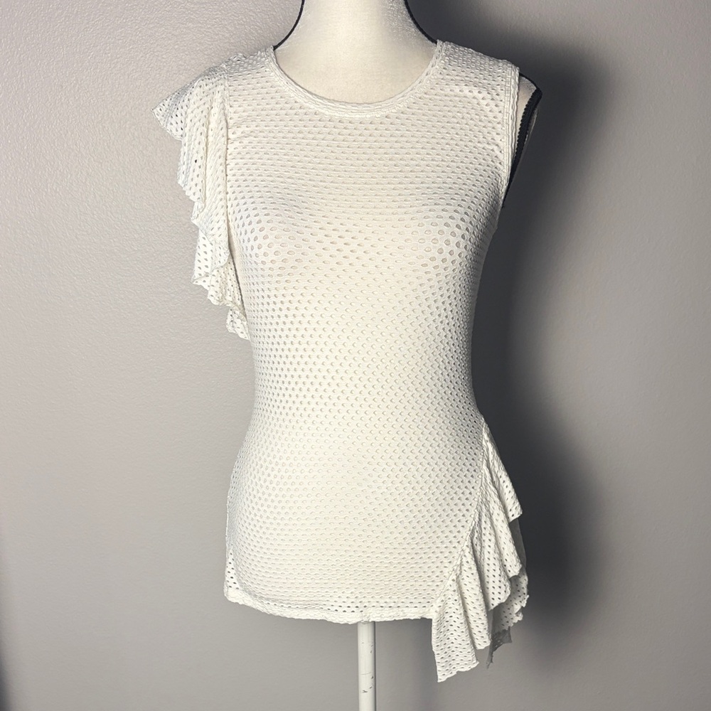 BCBGMaxAzria White Rowe Eyelet Mesh Top (Size S)